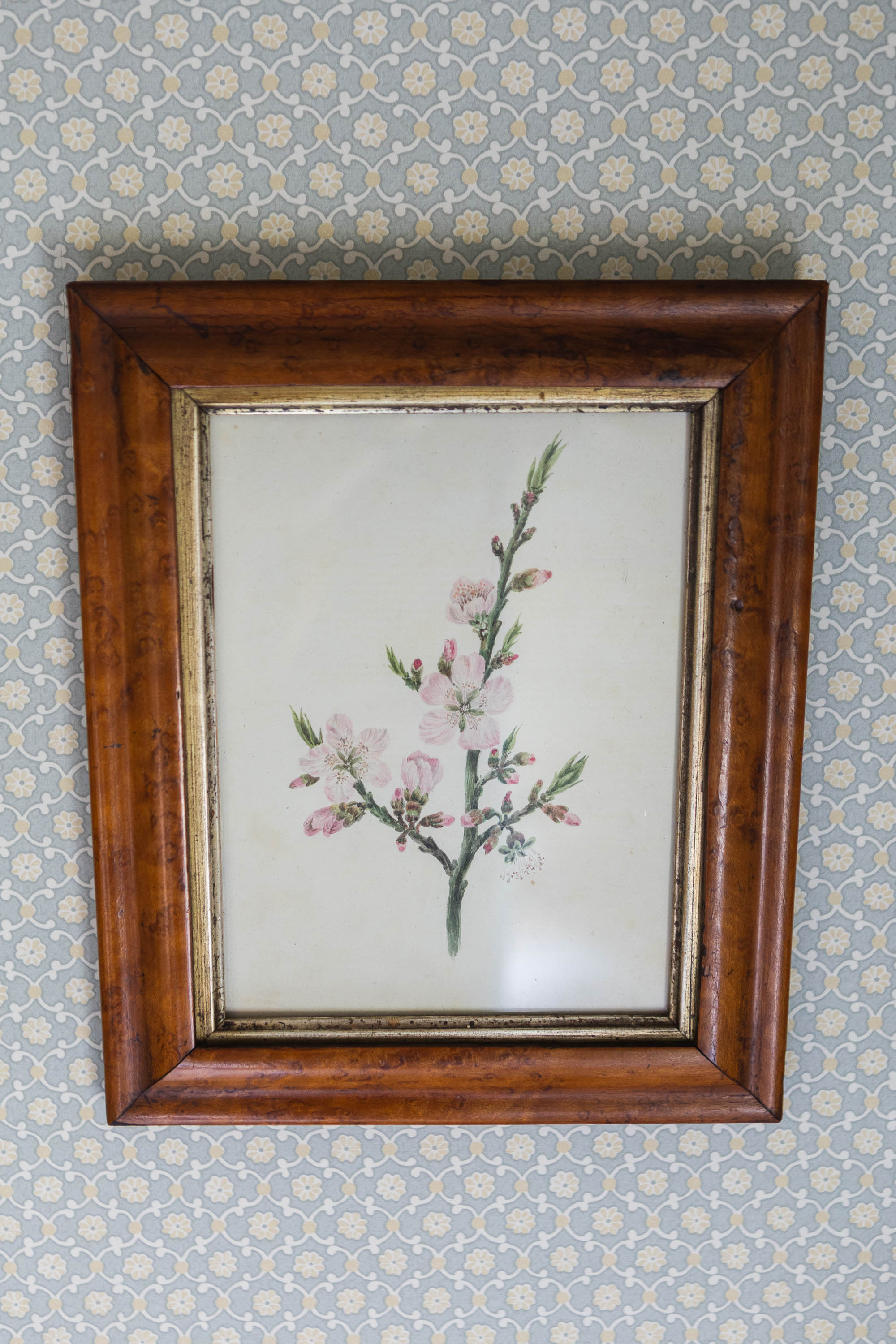 A Birds Eye Maple Framed Floral Watercolour