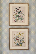 A Pair of Butterfly Prints in Gilt Frames