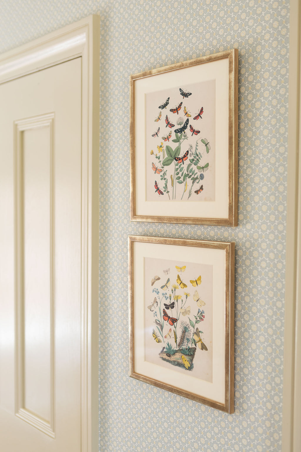 A Pair of Butterfly Prints in Gilt Frames