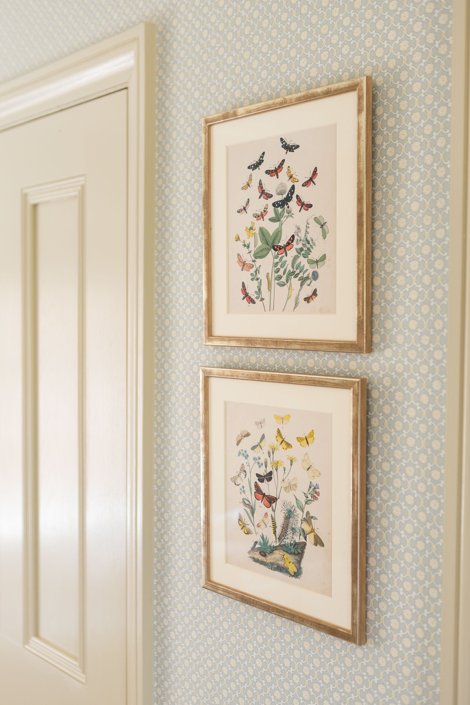 A Pair of Butterfly Prints in Gilt Frames