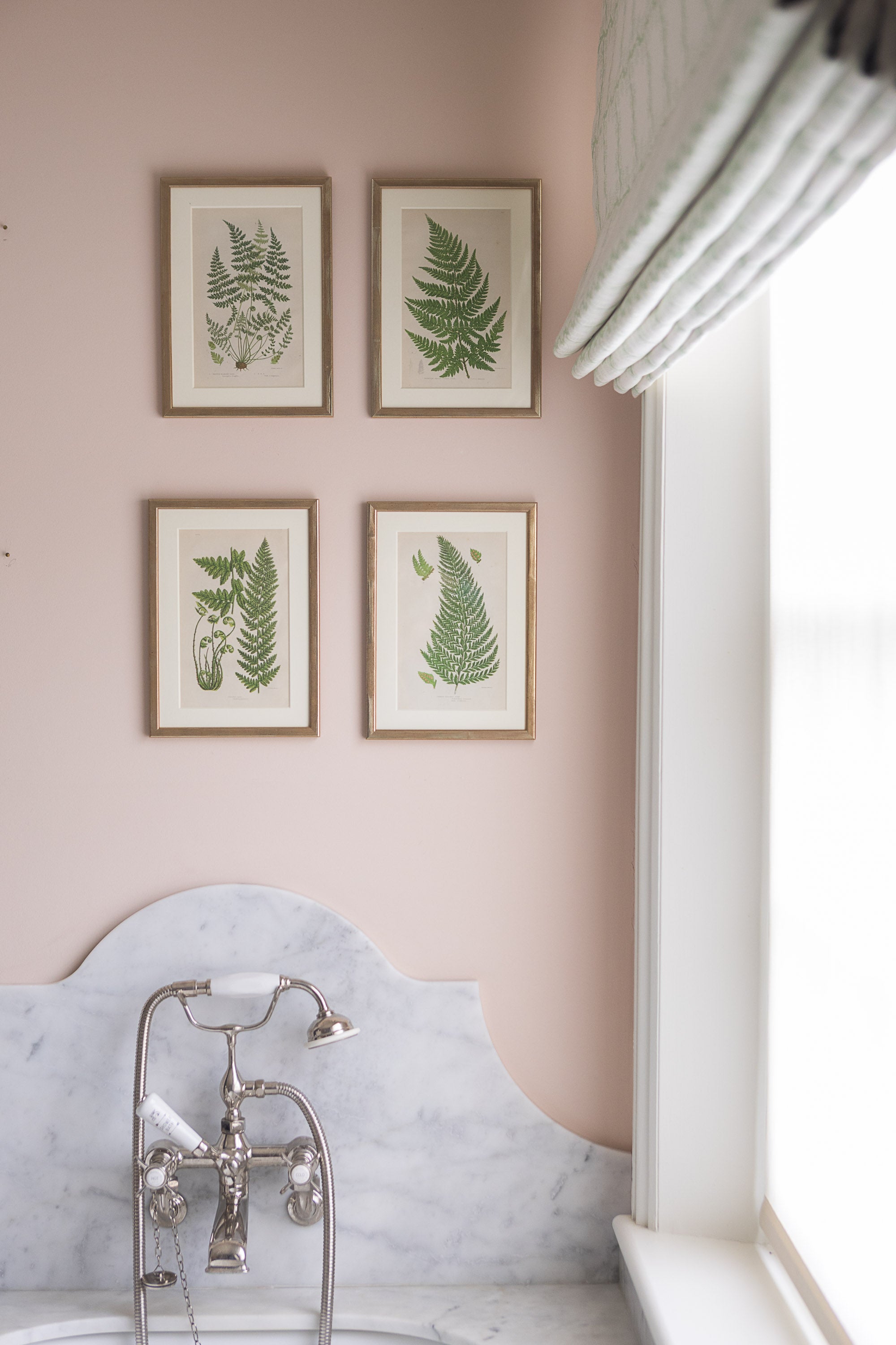 A Set of Eight 19th Century Botanical Engravings
