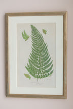 A Set of Eight 19th Century Botanical Engravings